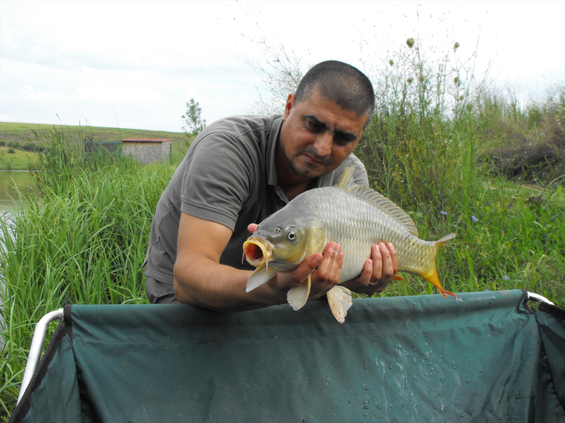 Magura 9 1 - 2 august 2014 - dscf1008.JPG